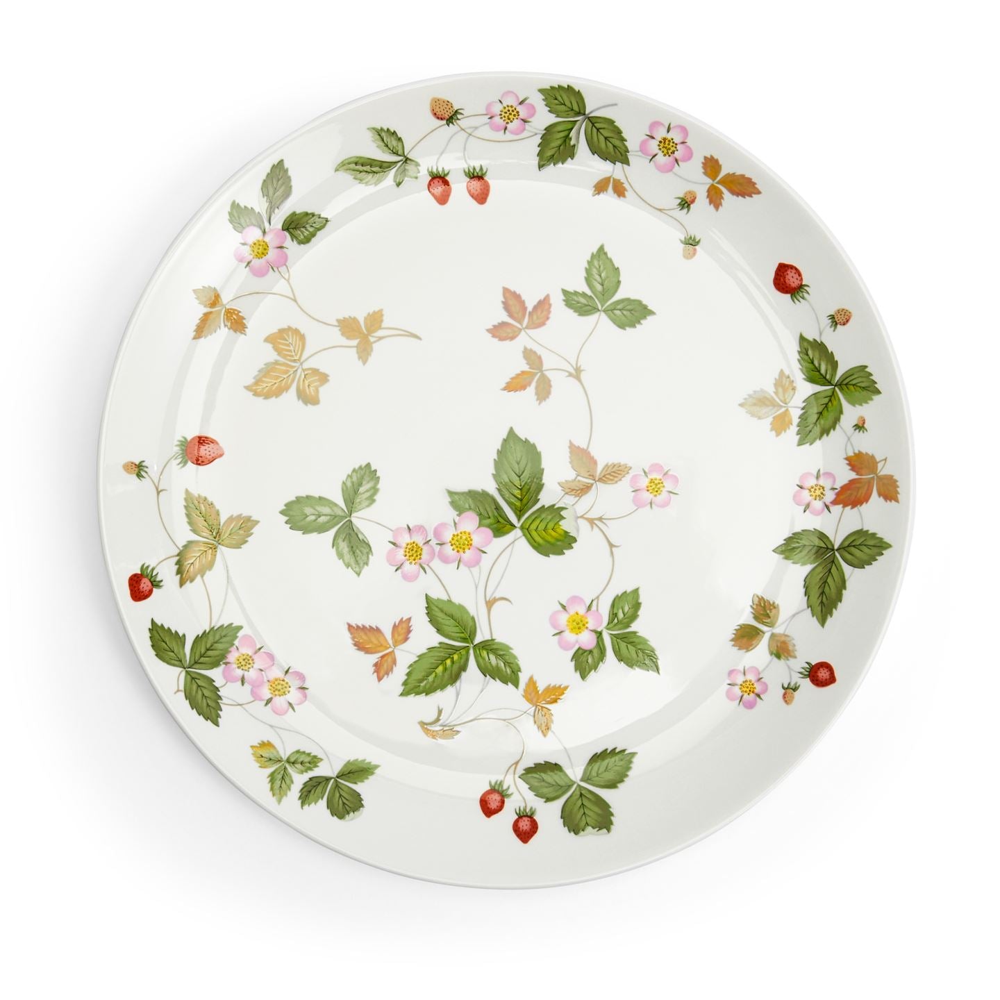 Wild Strawberry Classic Couped Dinner Plate | Wedgwood
