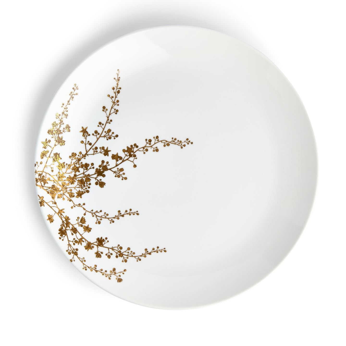  Vera Wang コラボ　大皿プレート7枚 Vera Wang Jardin Dinner Plate | Wedgwood