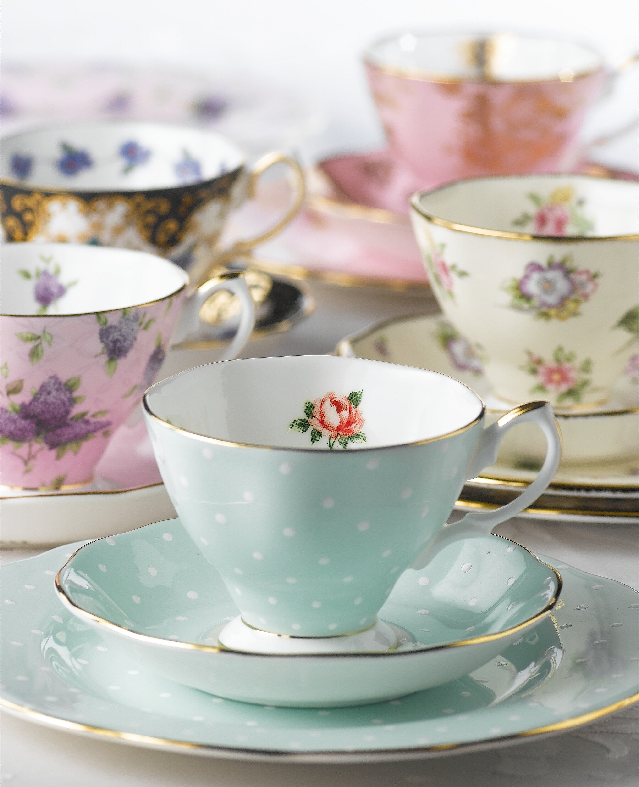 Polka Rose by Royal Albert | Wedgwood