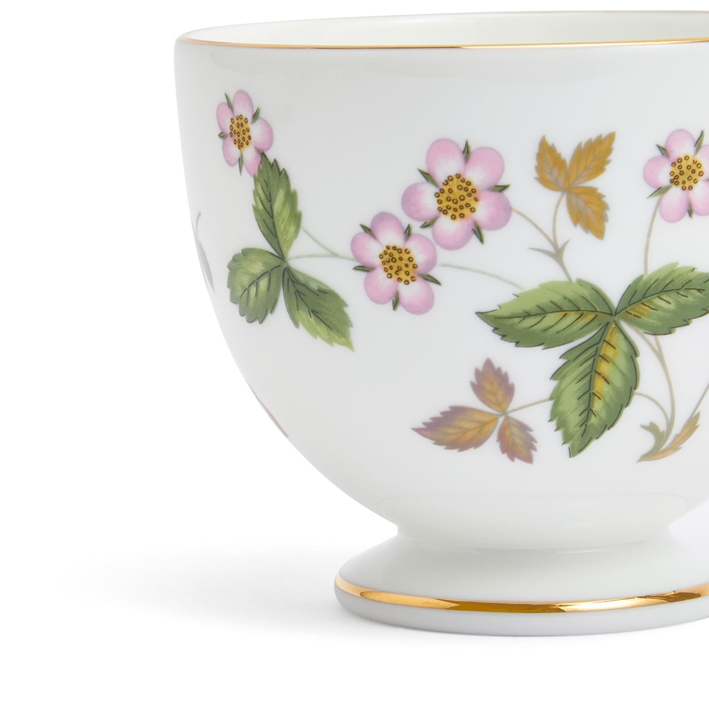 Wild Strawberry Gold Teacup & Saucer Leigh