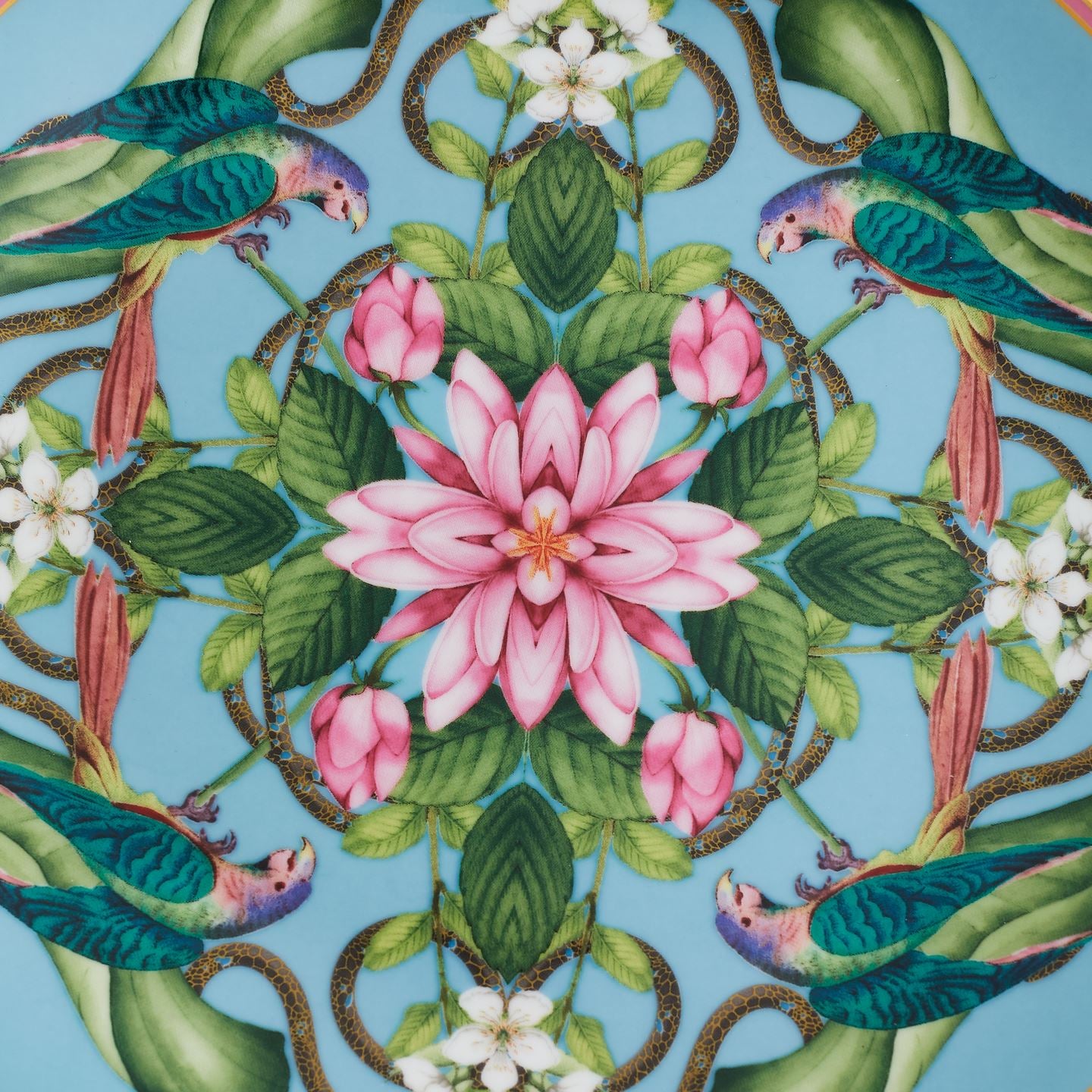 Wonderlust Menagerie Plate | Wedgwood