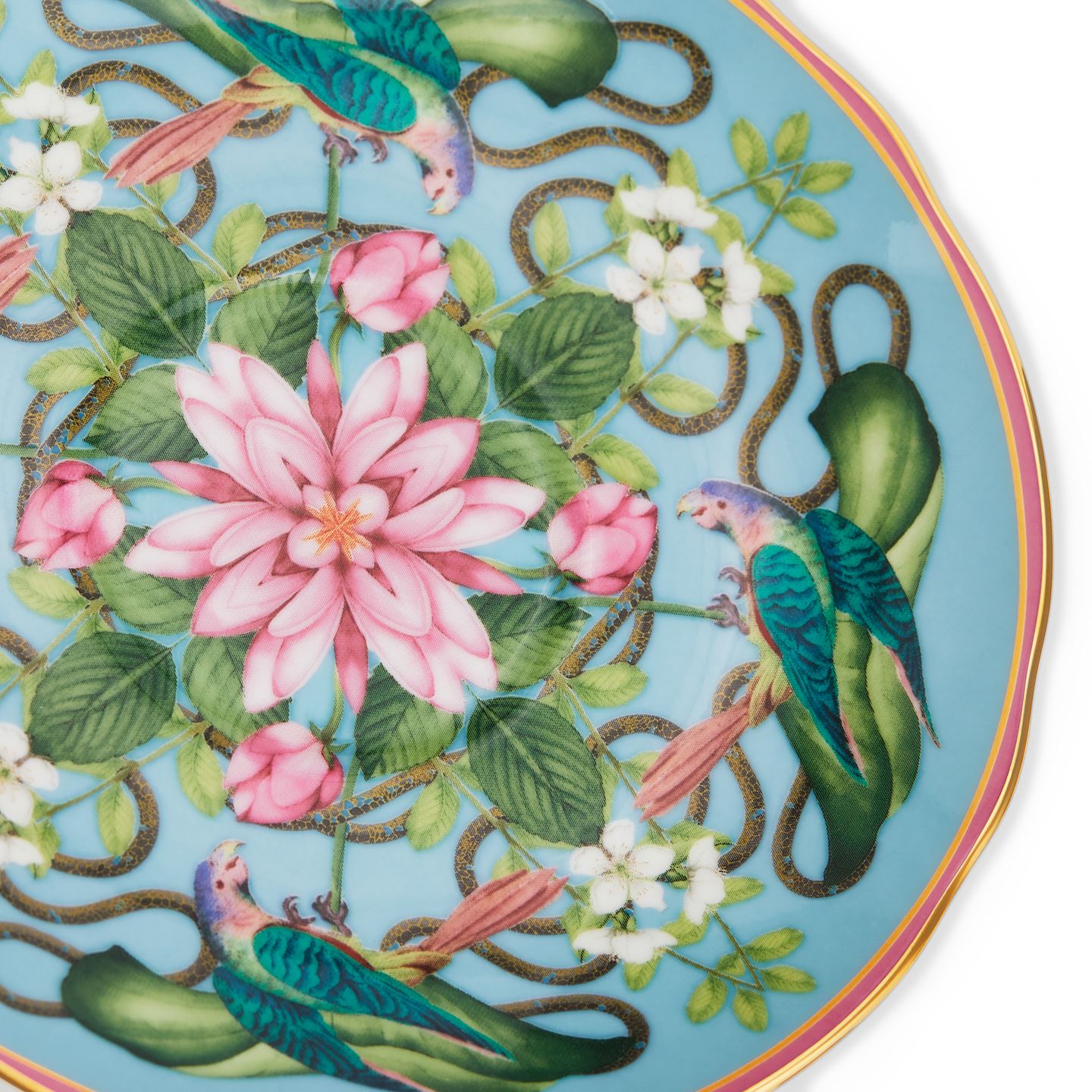 Wonderlust Menagerie Teacup & Saucer | Wedgwood