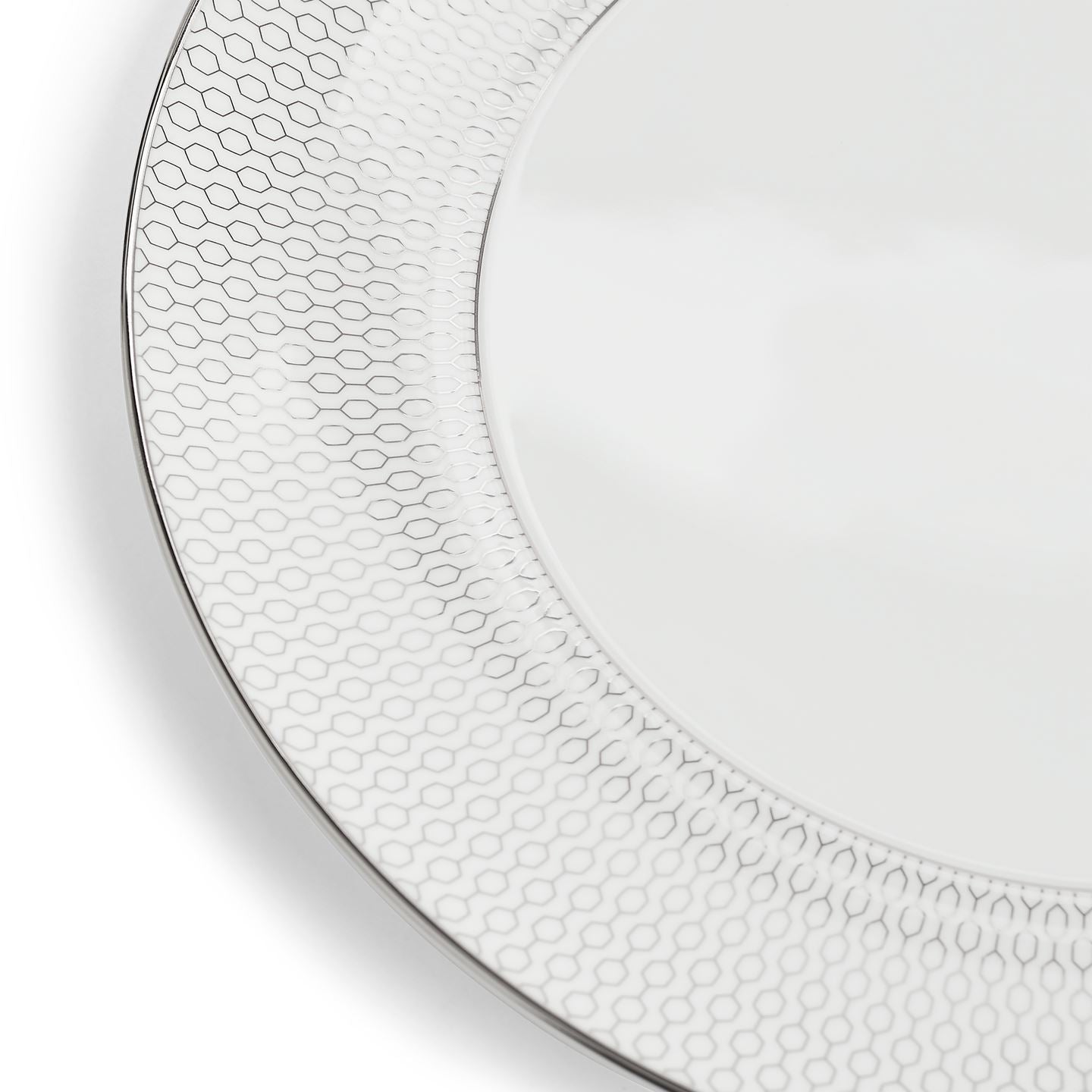 Gio Platinum Dinner Plate