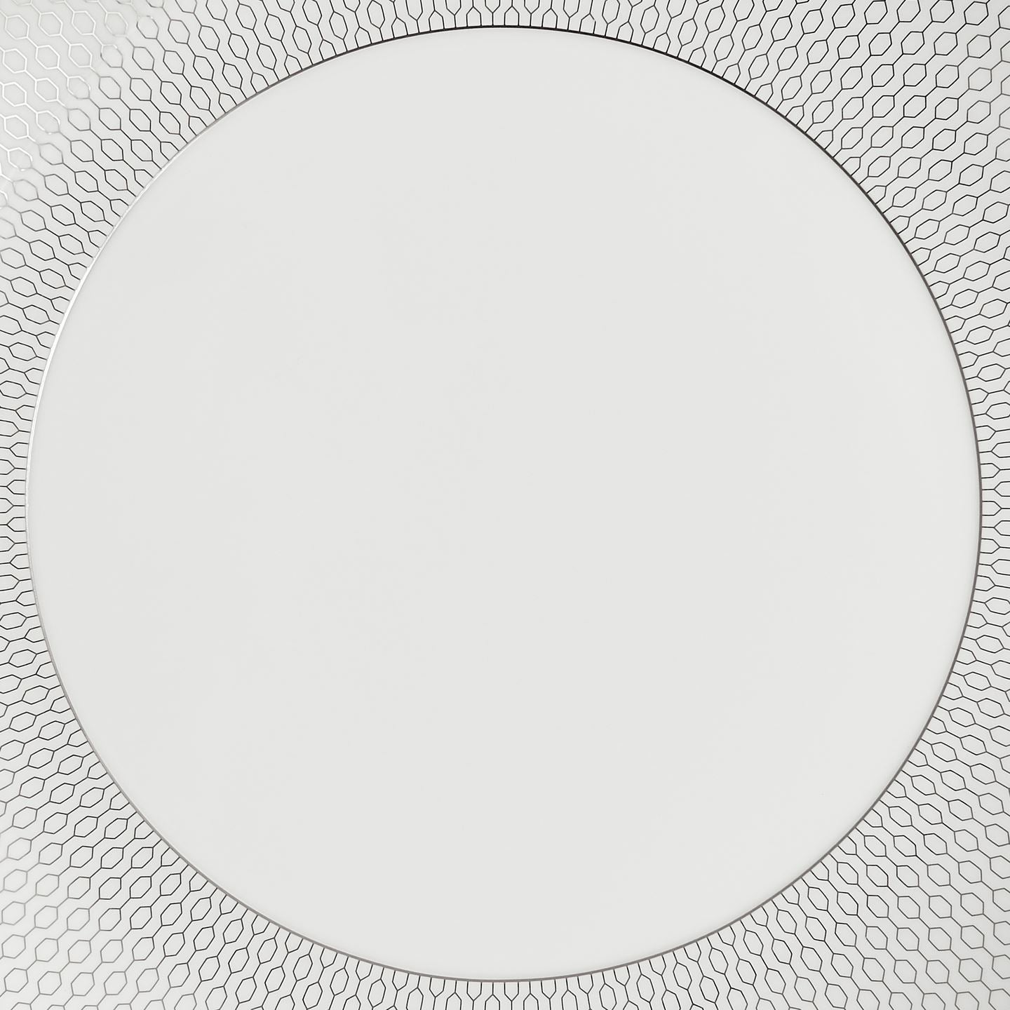 Gio Platinum Dinner Plate