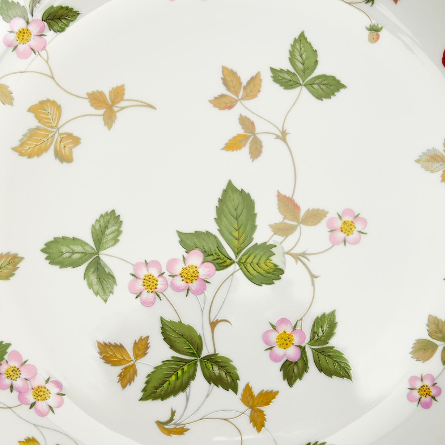Wild Strawberry Classic Couped Dinner Plate
