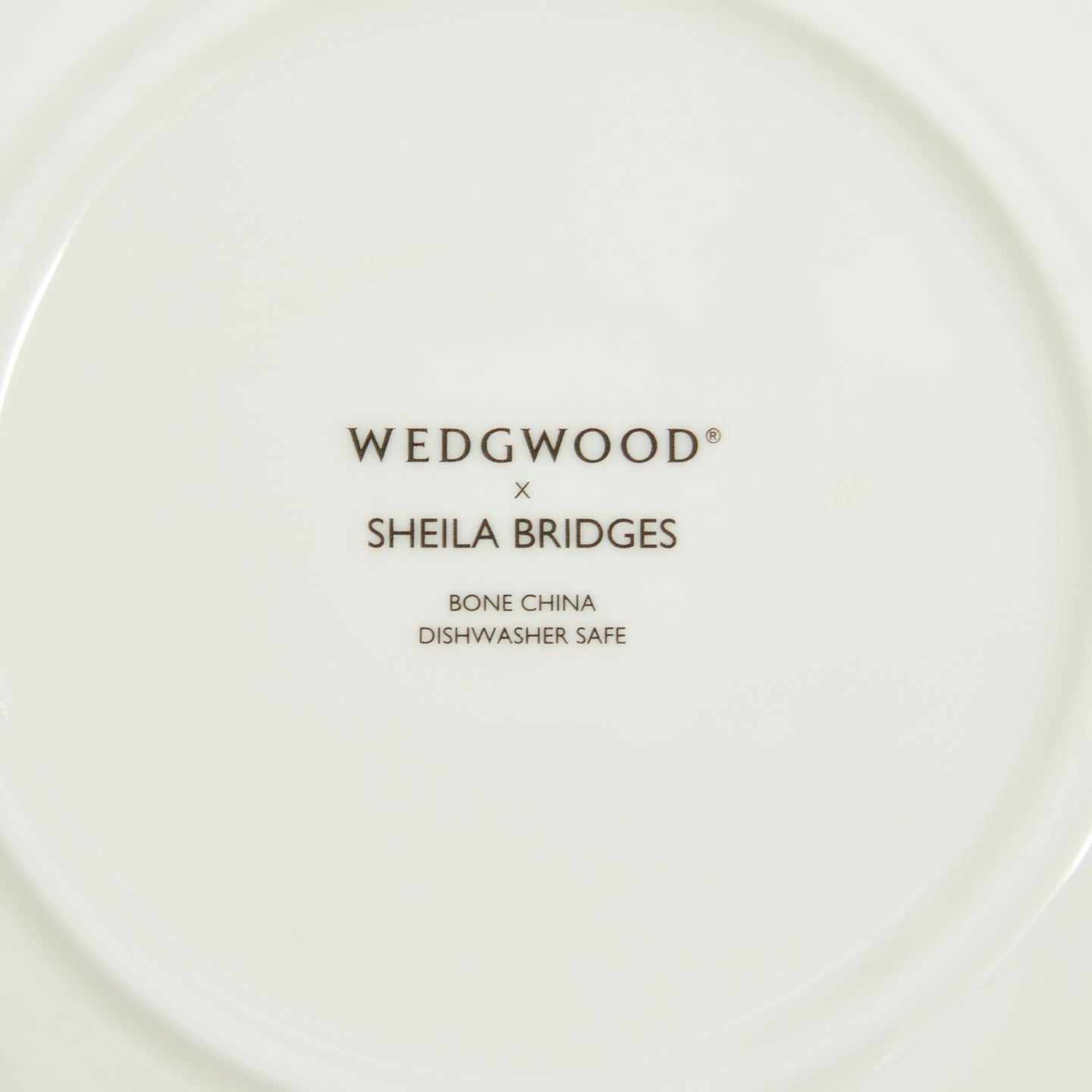 Sheila Bridges Teacup & Saucer Skipping