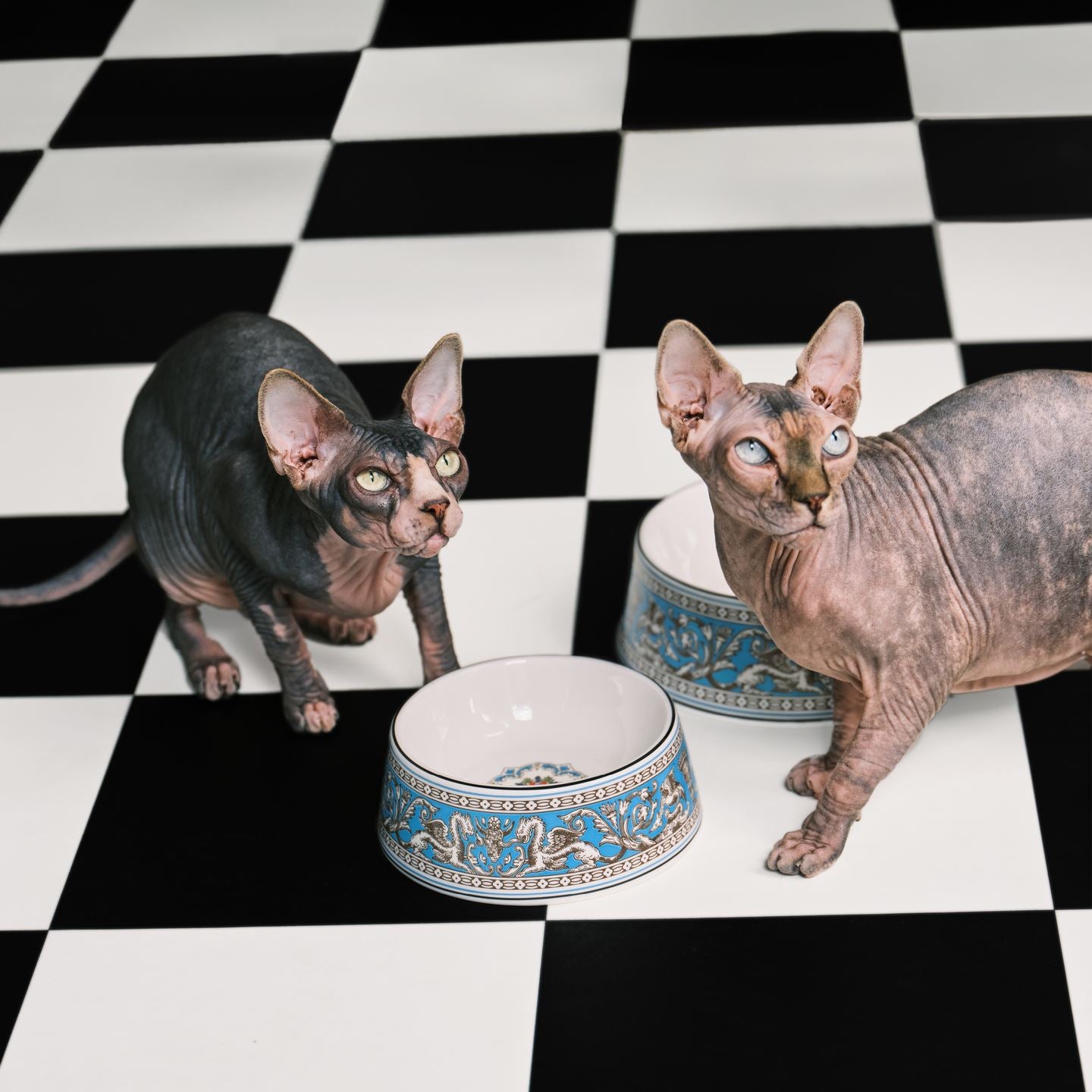 Florentine Turquoise Pet Bowl Large