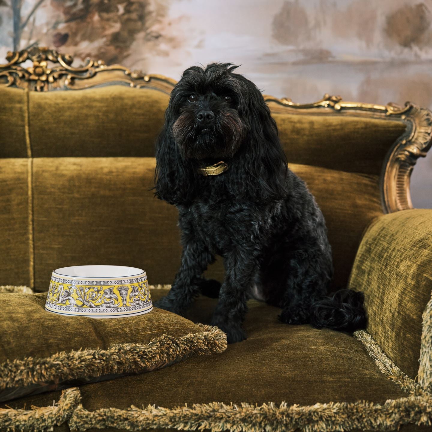 Florentine Citron Pet Bowl Small