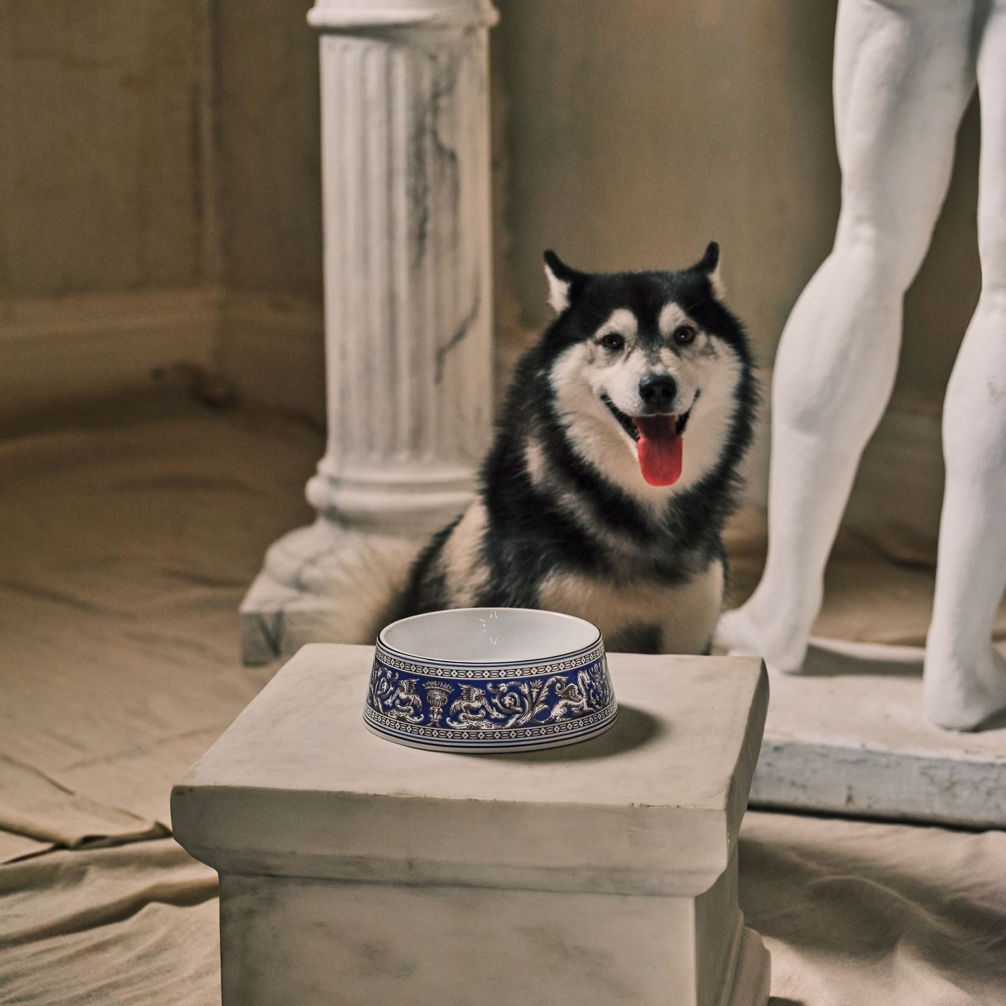 Florentine Marine Pet Bowl Small