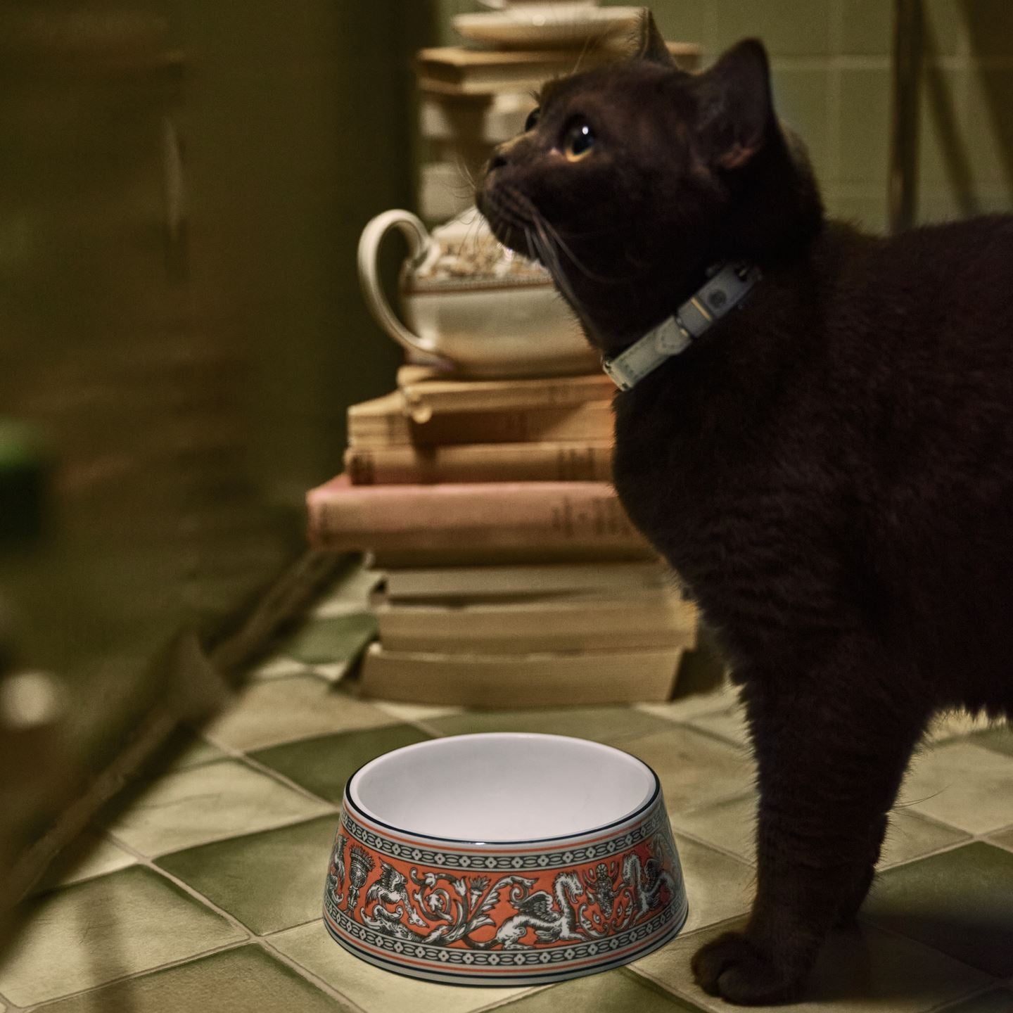 Florentine Salmon Pet Bowl Small