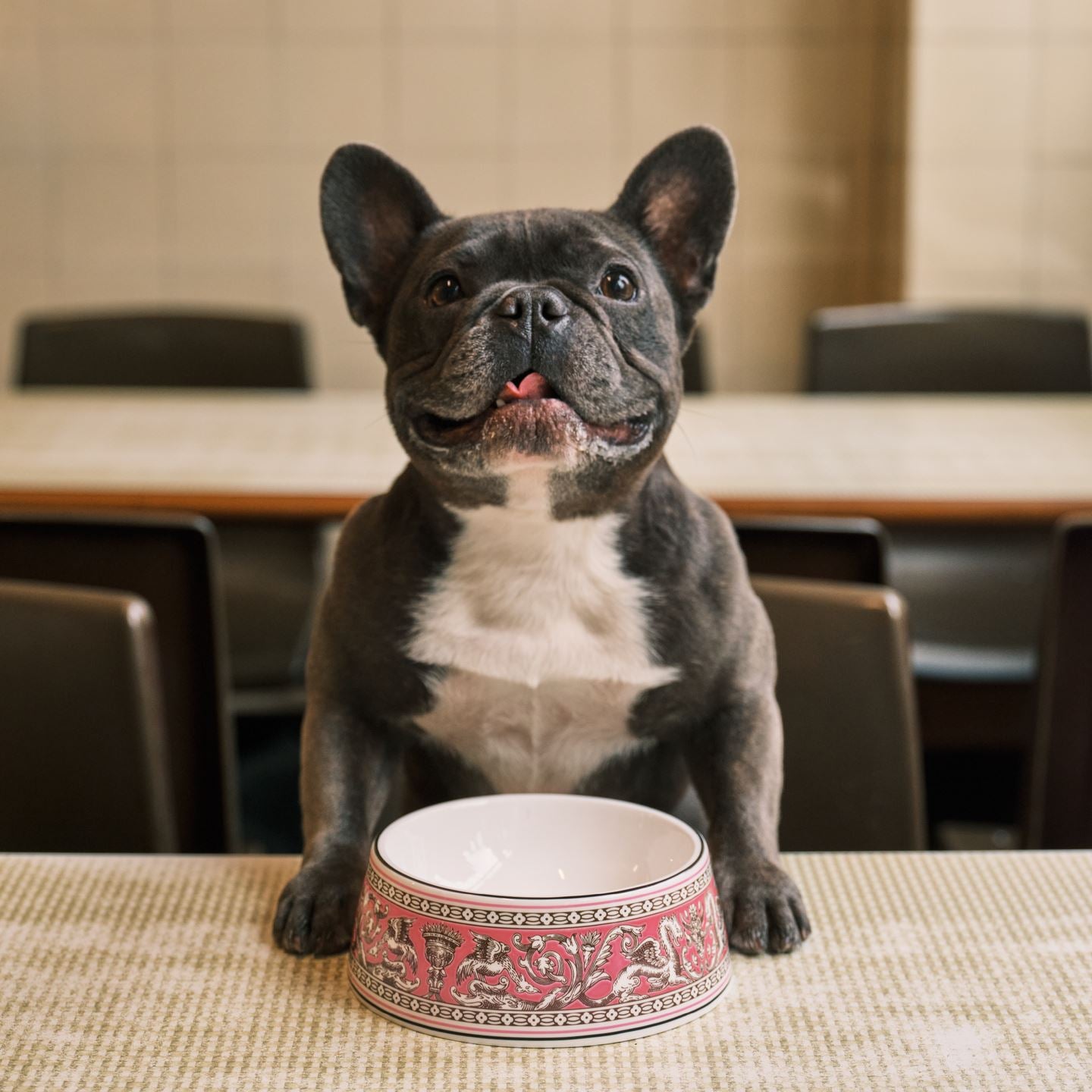 Florentine Fuchsia Pet Bowl Small