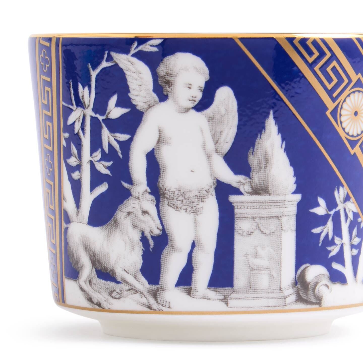 Renaissance Gold Teacup & Saucer Accents