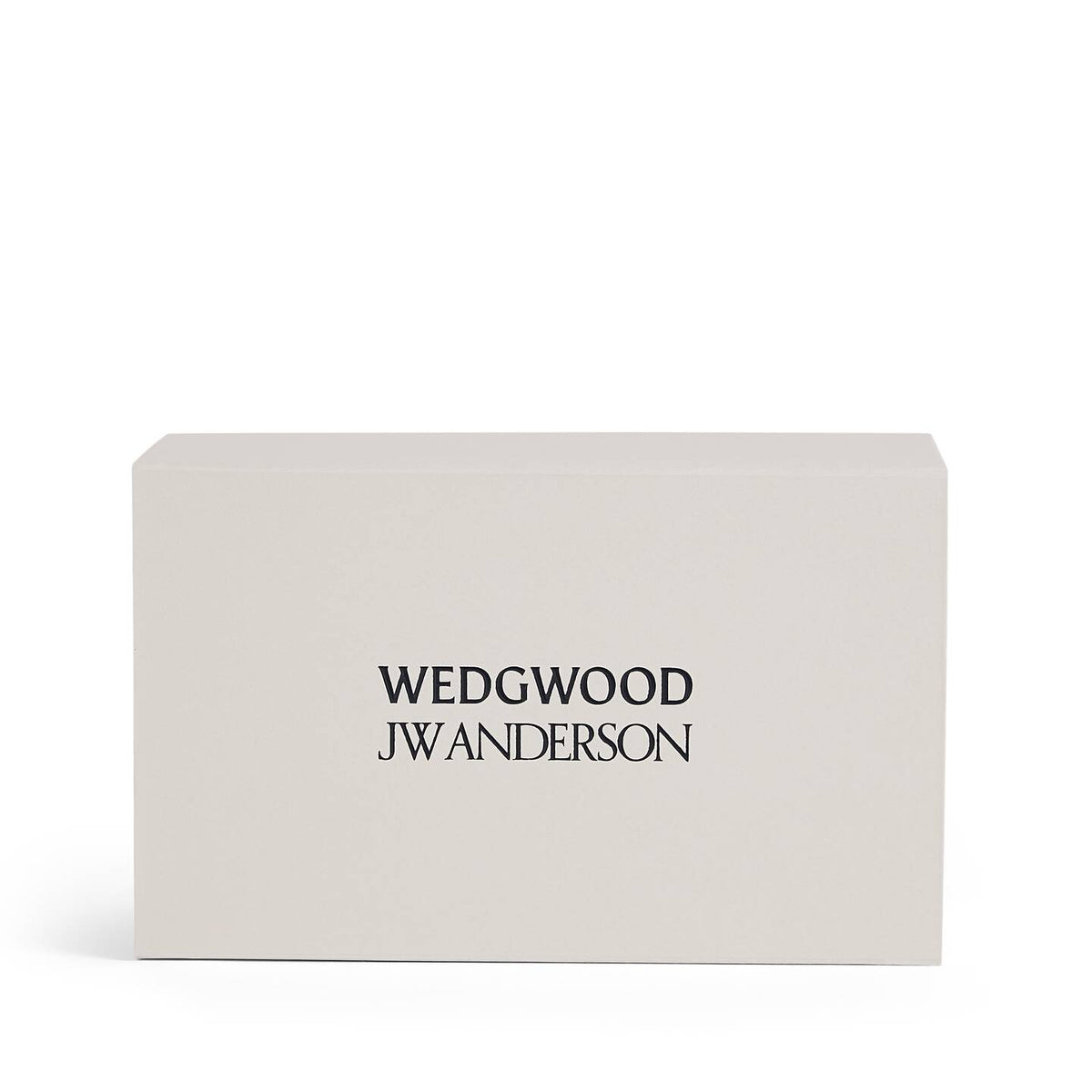 JW Anderson Mug Pair Mercury / Jasper Blue