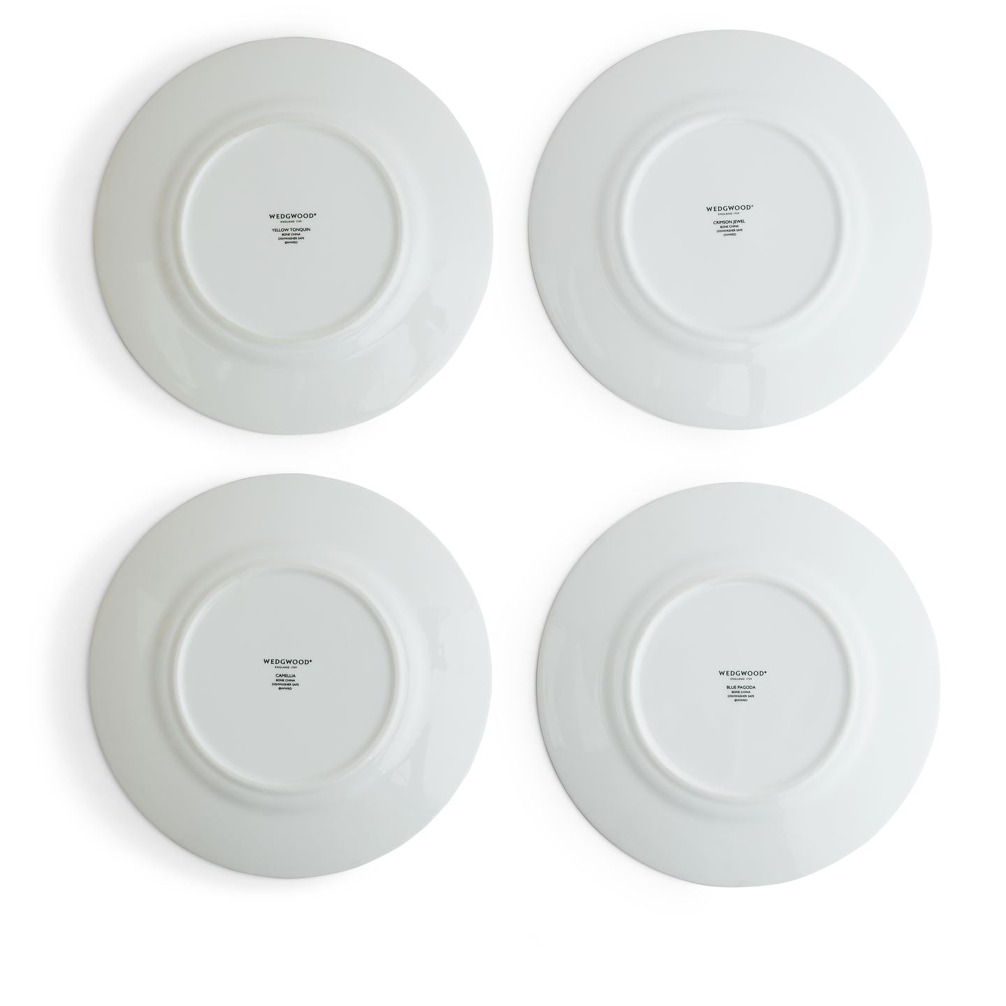 Wonderlust Plates, Set of 4 | Wedgwood