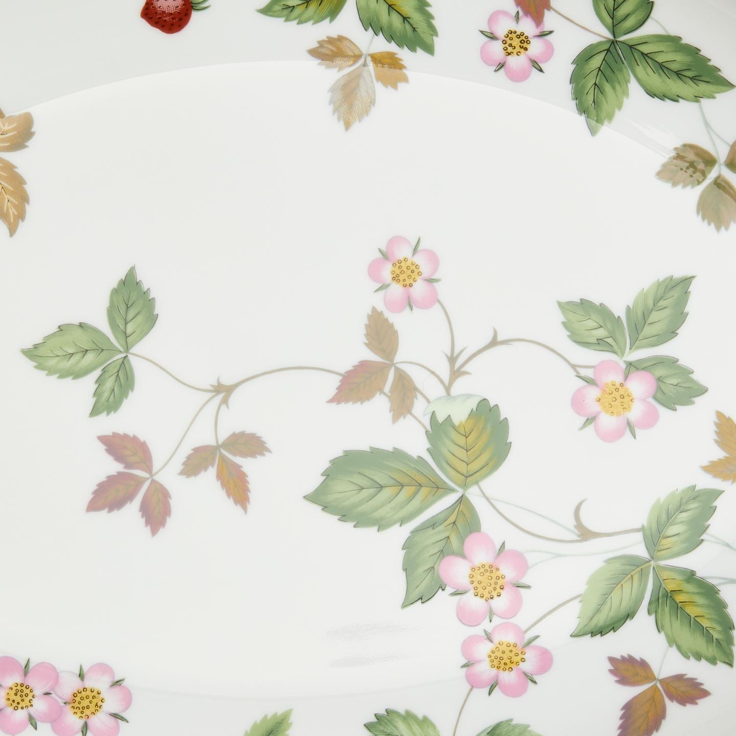 Wild Strawberry Classic Oval Dish | Wedgwood
