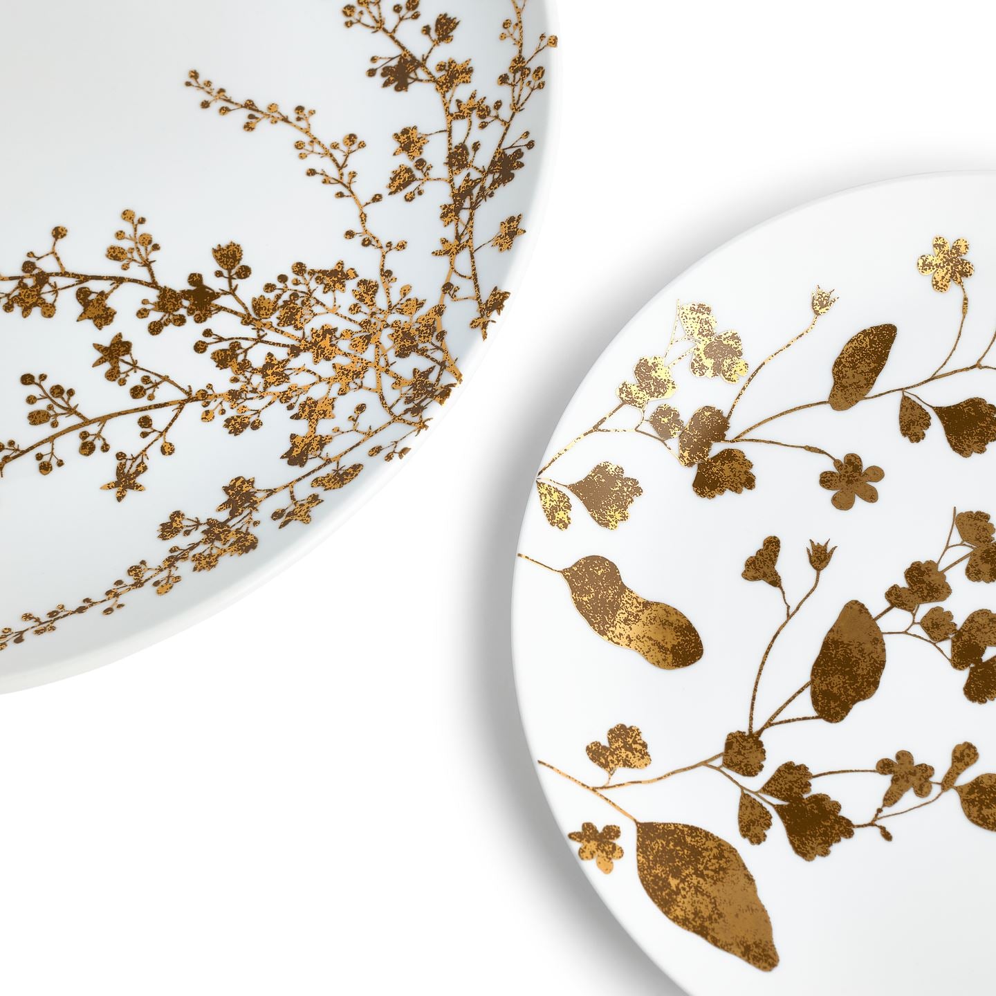 Vera Wang Jardin 4 Piece Dinner Setting | Wedgwood