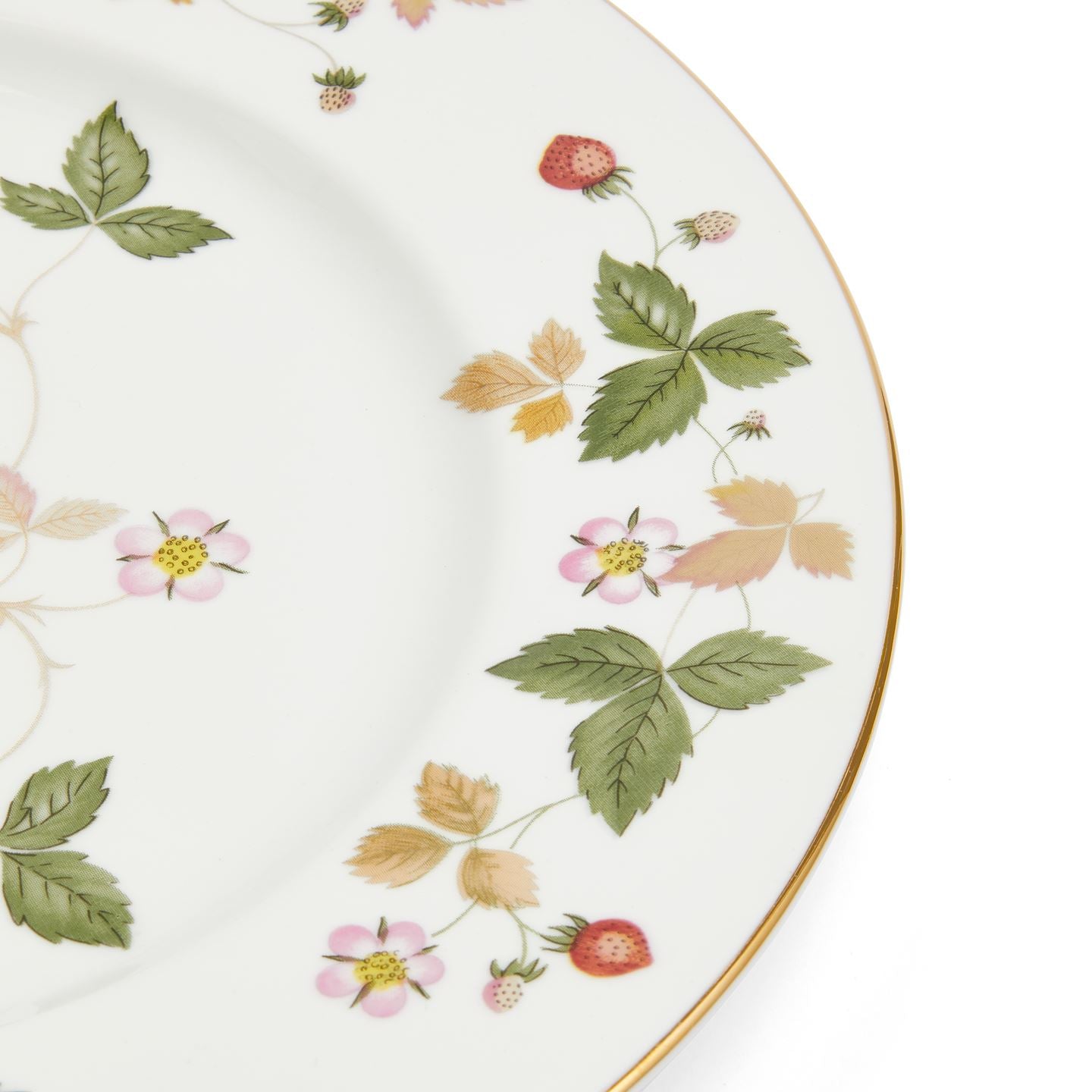 WEDGEWOOD Wild Strawberry プレート27cm 6枚 Wild Strawberry Gold Dinner Plate | Wedgwood