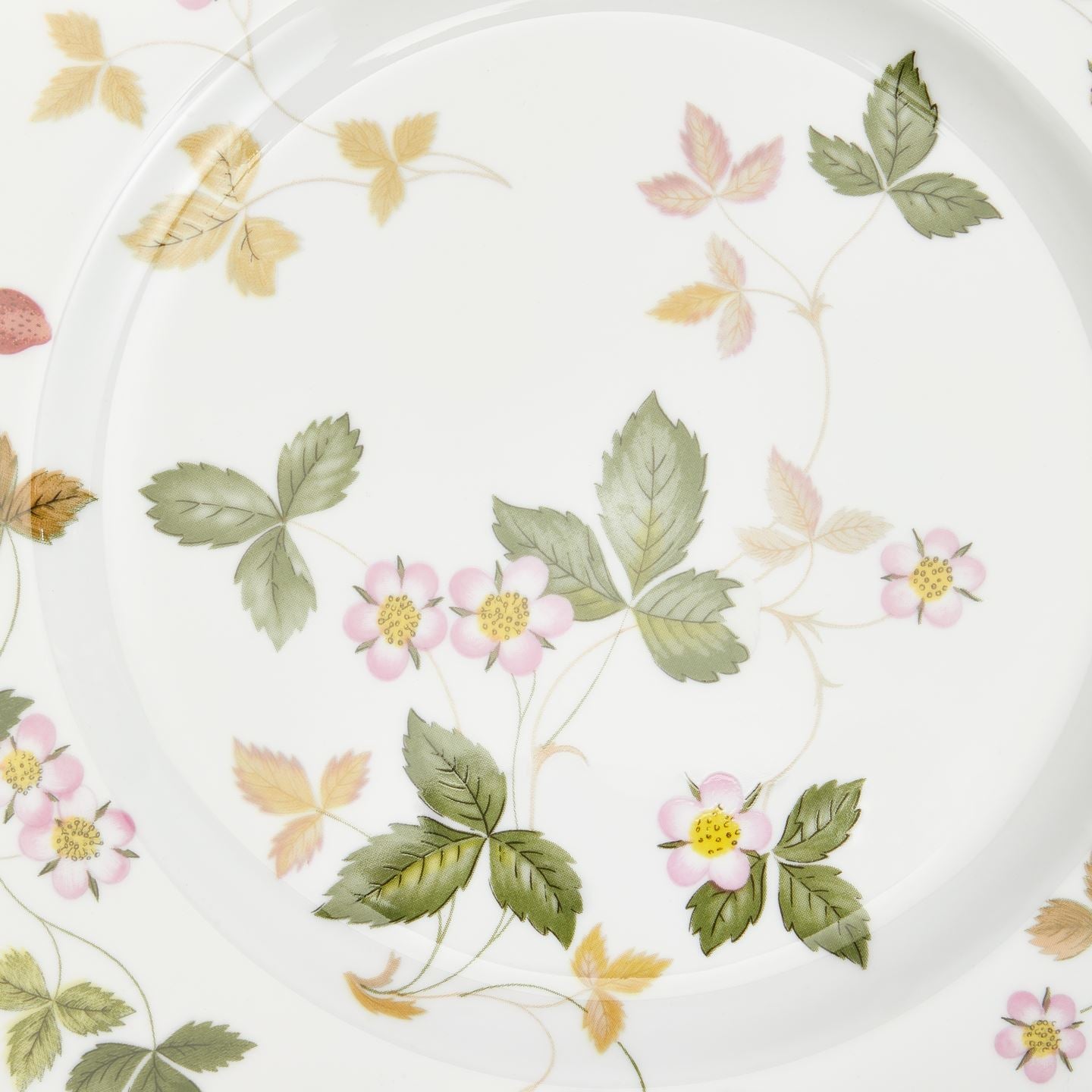 Wild Strawberry Gold Dinner Plate | Wedgwood