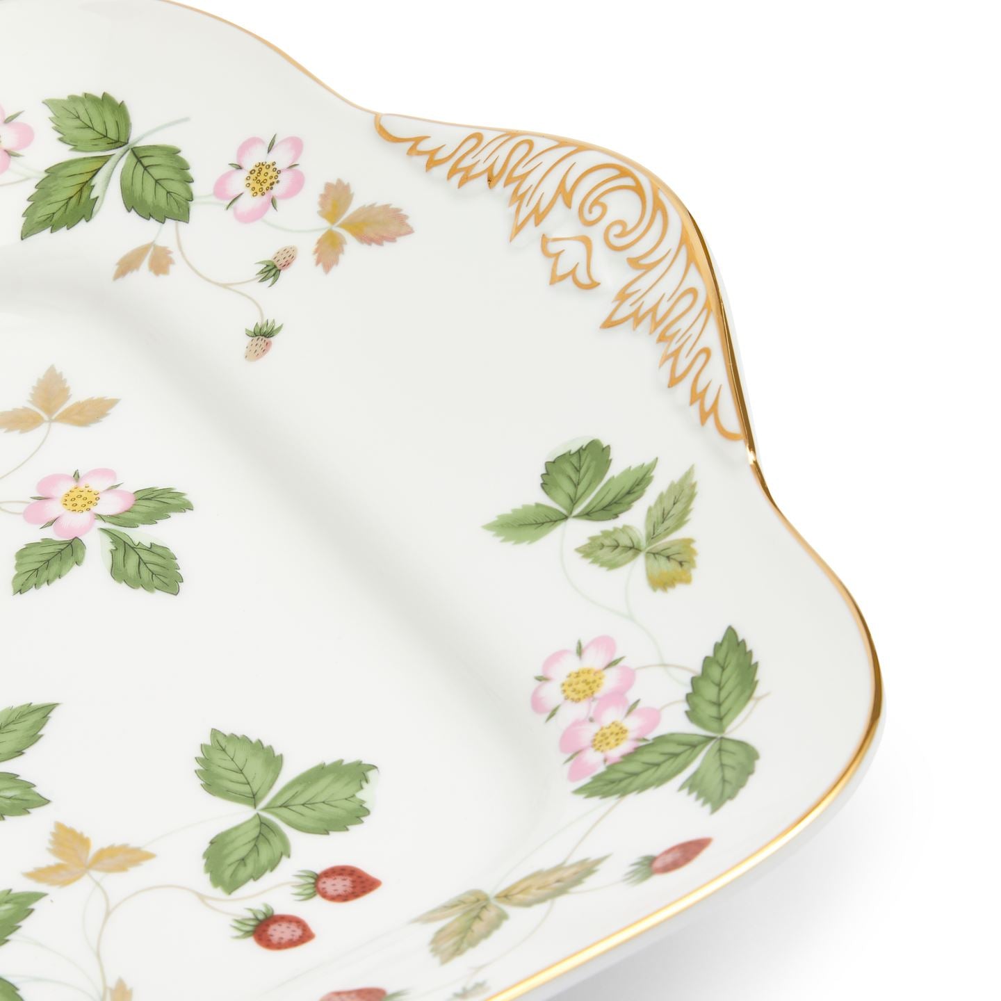 Wild Strawberry Gold Square Plate | Wedgwood