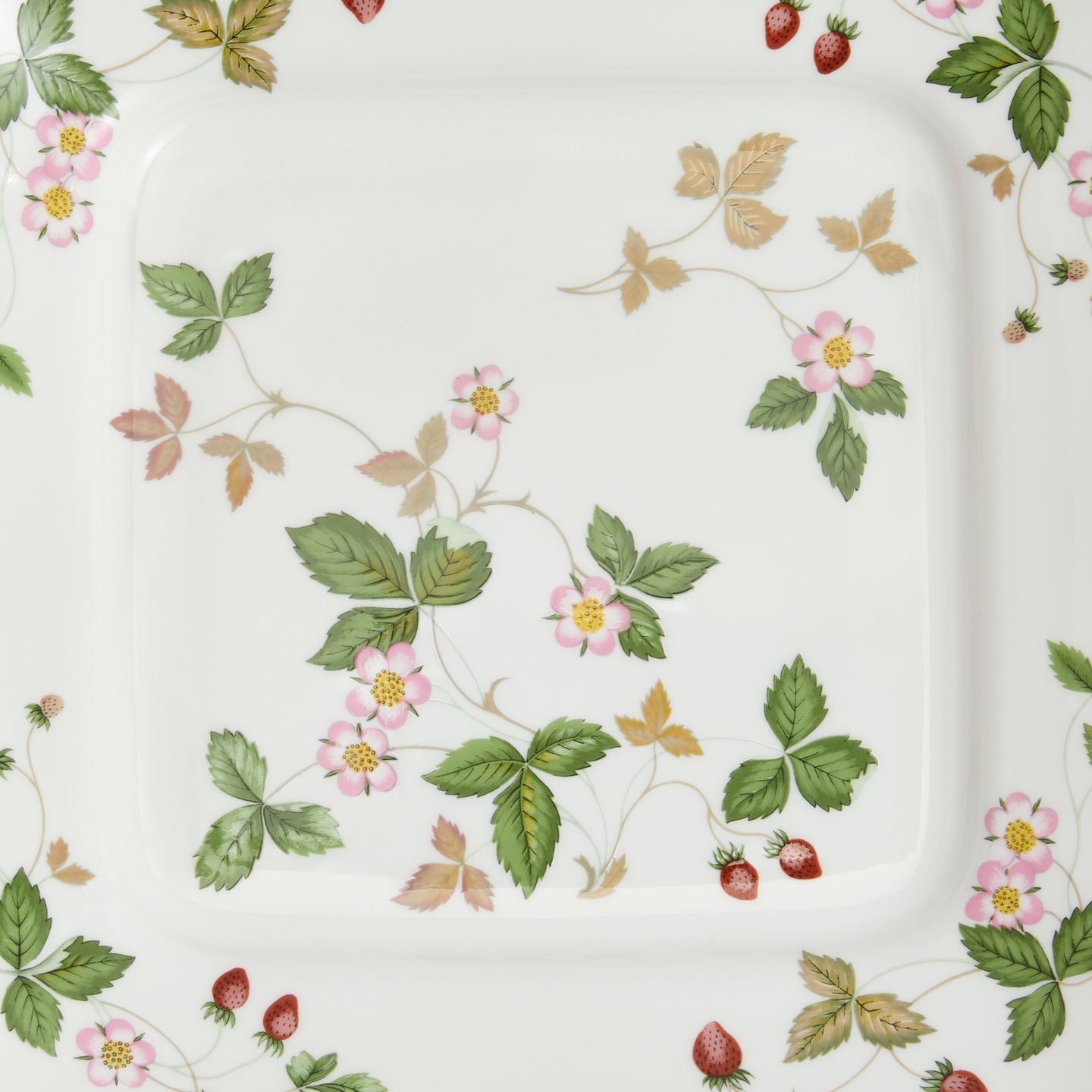 WEDGEWOOD Wild Strawberry プレート27cm 6枚 Wild Strawberry Gold Square Plate | Wedgwood