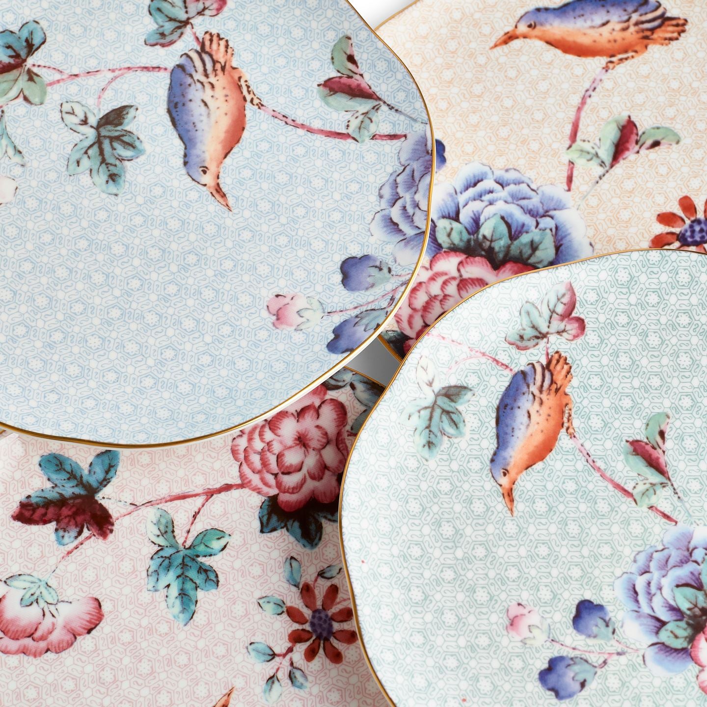 （ウェッジウッド）CUCKOO ボーンチャイナ 4枚セット Cuckoo Tea Plate , Set of 4 | Wedgwood