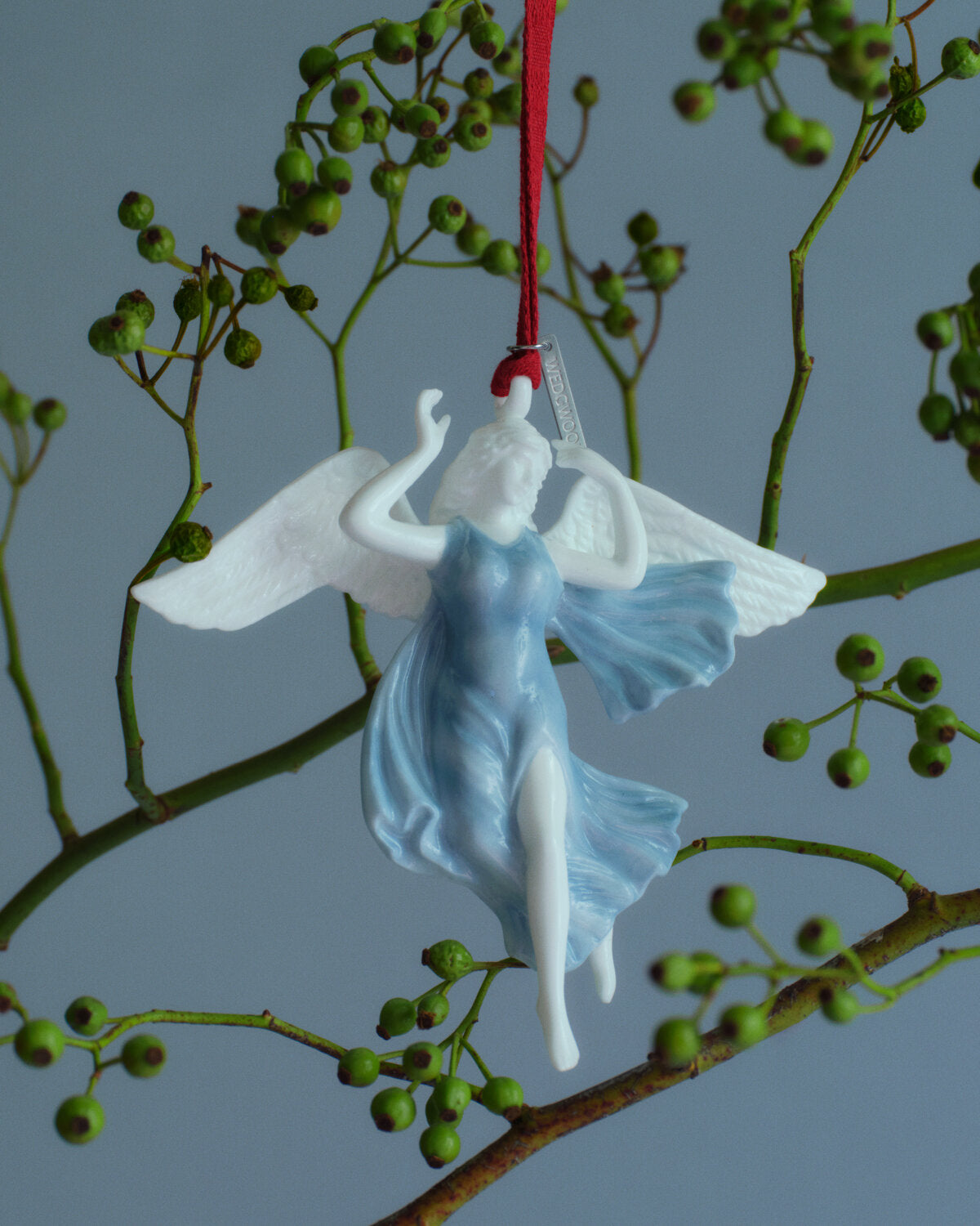 A Wedgwood white and light blue angel ornament with white wings, hanging from a red ribbon against a blue-gray background with green berry branches.