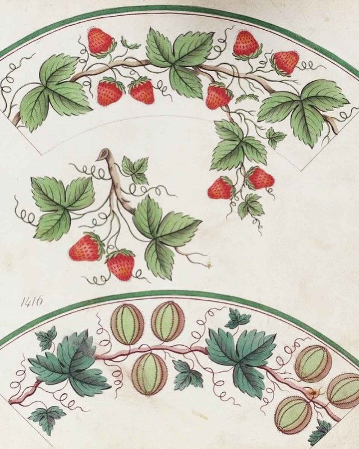 All Wild Strawberry | Wedgwood