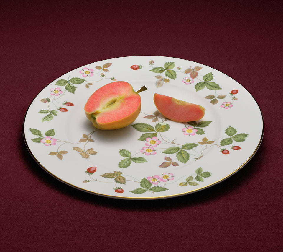 Decorative