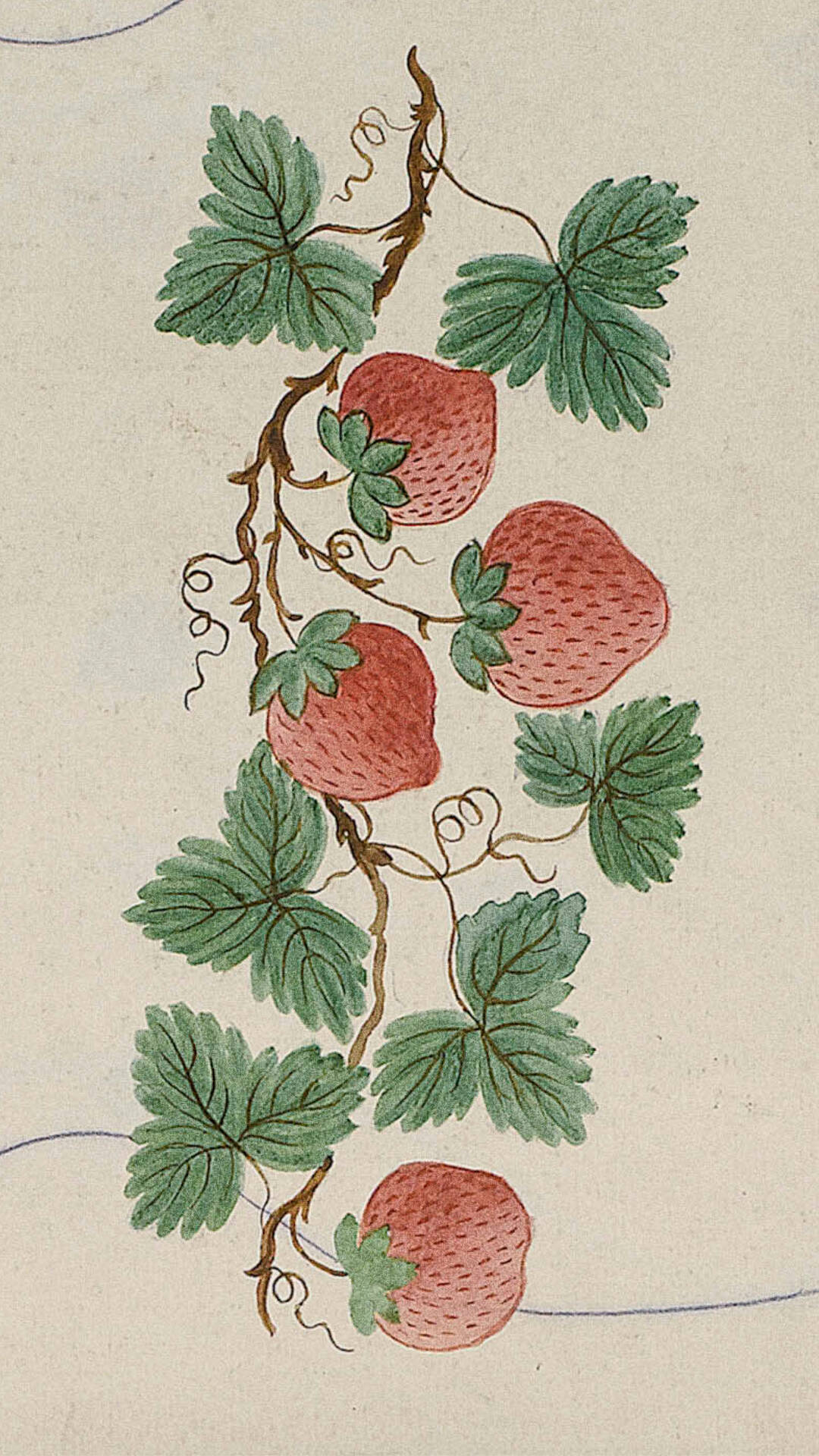 Decorative